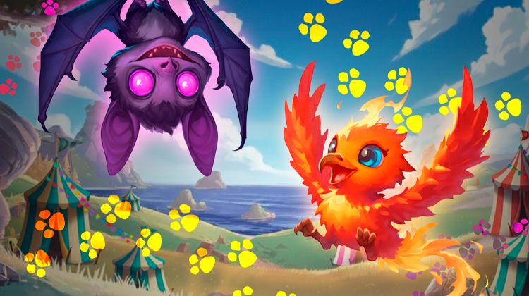 Pets: Meet Your New Companions
